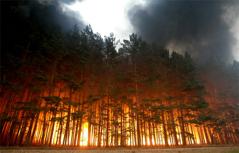 A burning forest is seen near village Dolginino, Russia on August 4, 2010.