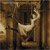 Porcupine Tree - Signify